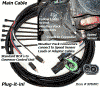 Main Cable - Weather-Pack Connectors - Click to Enlarge